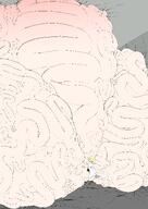 elfnein gigantic_penis senki_zesshou_symphogear // 7984x11250 // 4.7MB